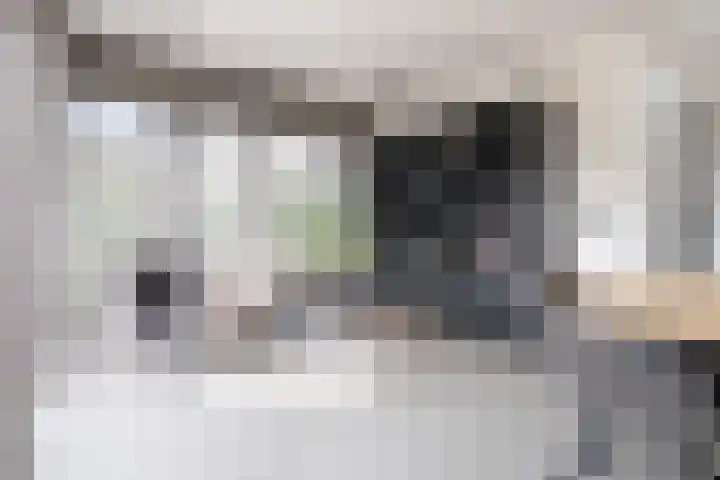Wilhelminastraat 3 Nistelrode thumbnail 13