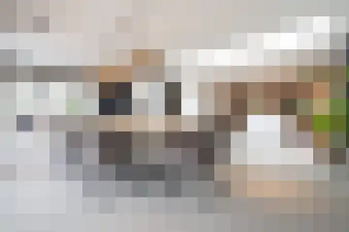 Wilhelminastraat 3 Nistelrode thumbnail 14