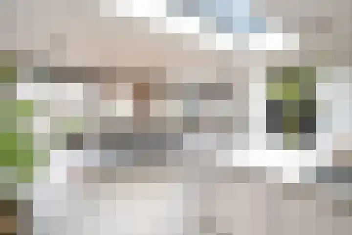 Wilhelminastraat 3 Nistelrode thumbnail 15