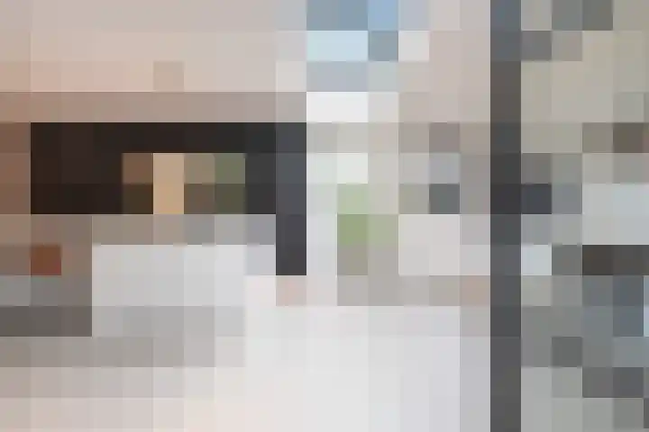 Wilhelminastraat 3 Nistelrode thumbnail 16