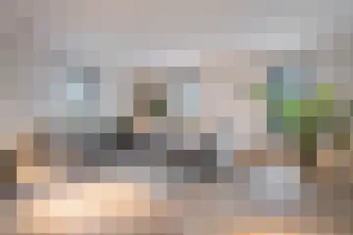 Wilhelminastraat 3 Nistelrode thumbnail 21