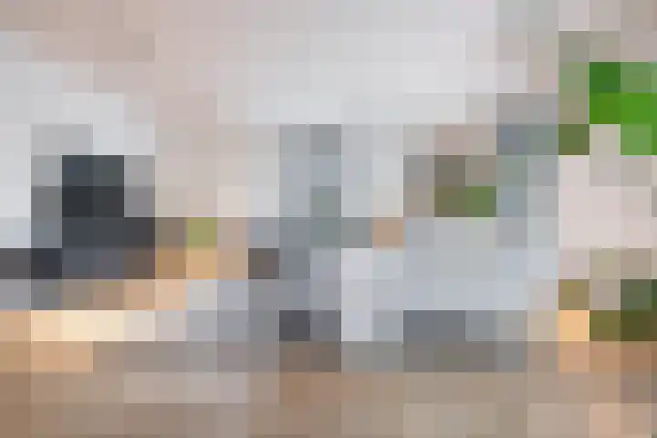 Wilhelminastraat 3 Nistelrode thumbnail 22