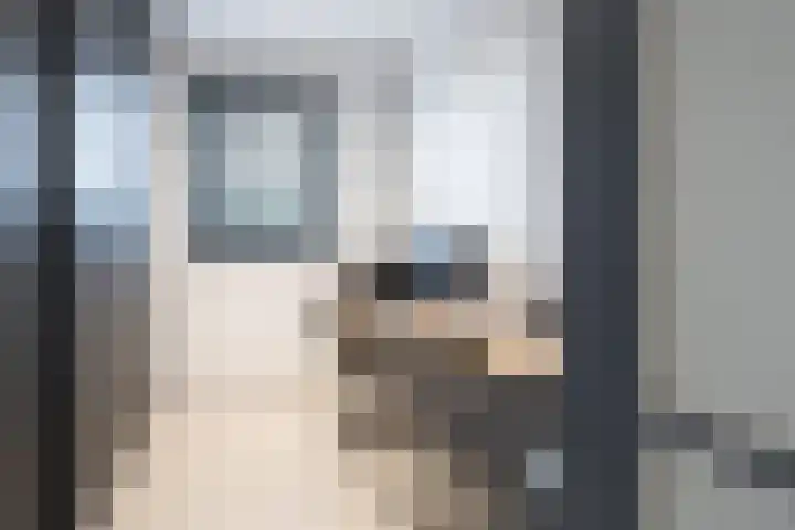 Wilhelminastraat 3 Nistelrode thumbnail 24