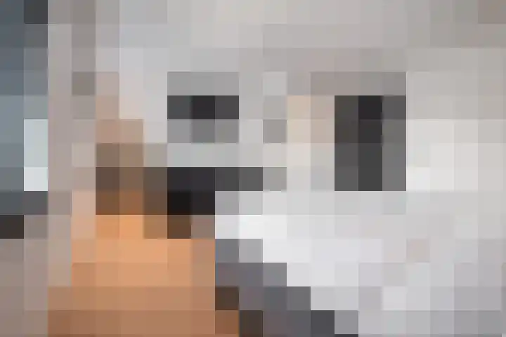 Wilhelminastraat 3 Nistelrode thumbnail 29