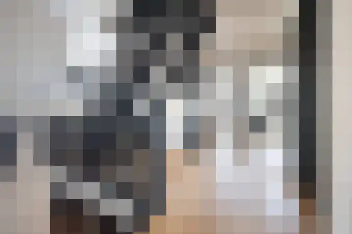 Wilhelminastraat 3 Nistelrode thumbnail 33