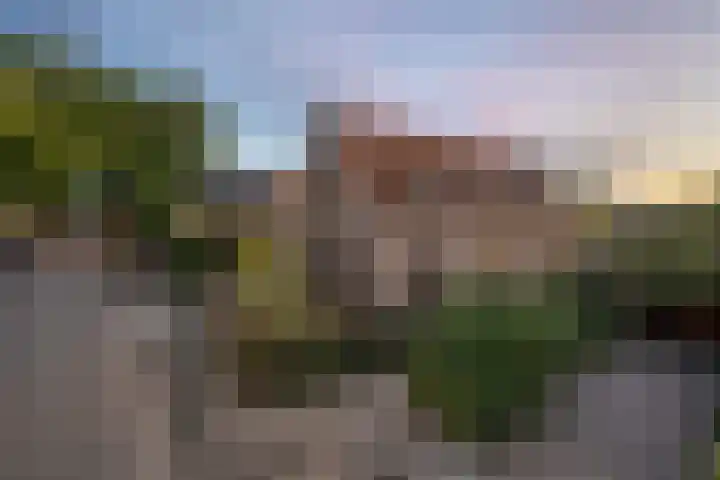 Wilhelminastraat 3 Nistelrode thumbnail 36