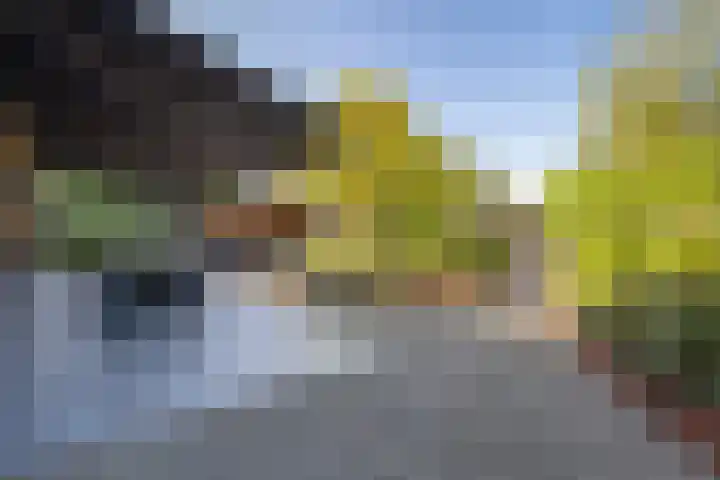 Wilhelminastraat 3 Nistelrode thumbnail 37