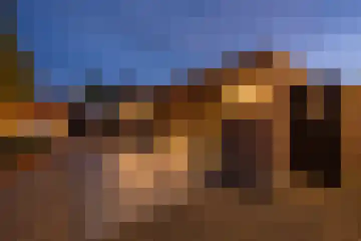 Wilhelminastraat 3 Nistelrode thumbnail 38
