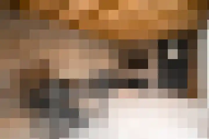 Wilhelminastraat 3 Nistelrode thumbnail 39