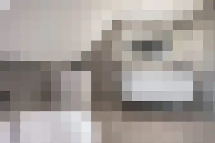 Wilhelminastraat 3 Nistelrode thumbnail 4