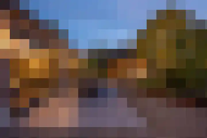 Wilhelminastraat 3 Nistelrode thumbnail 41