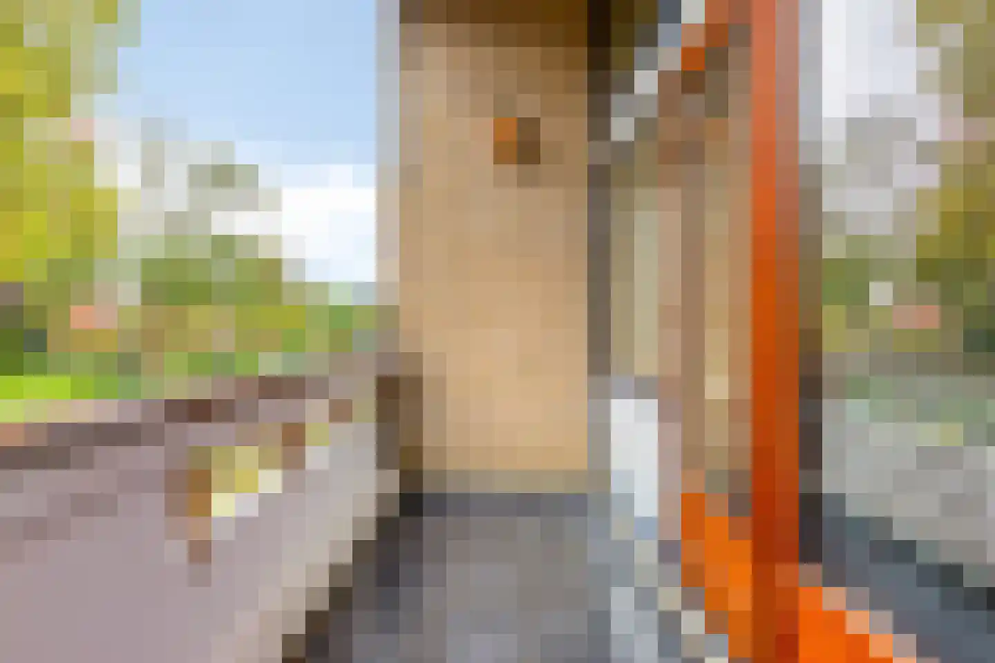 Wilhelminastraat 3 Rhoon thumbnail 22