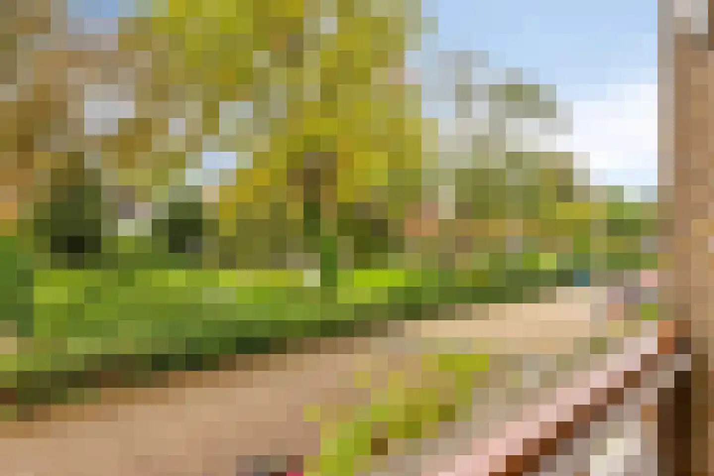Wilhelminastraat 3 Rhoon thumbnail 24