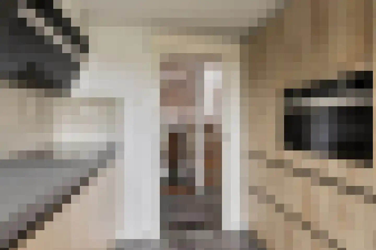Wilhelminastraat 3 Rhoon thumbnail 25