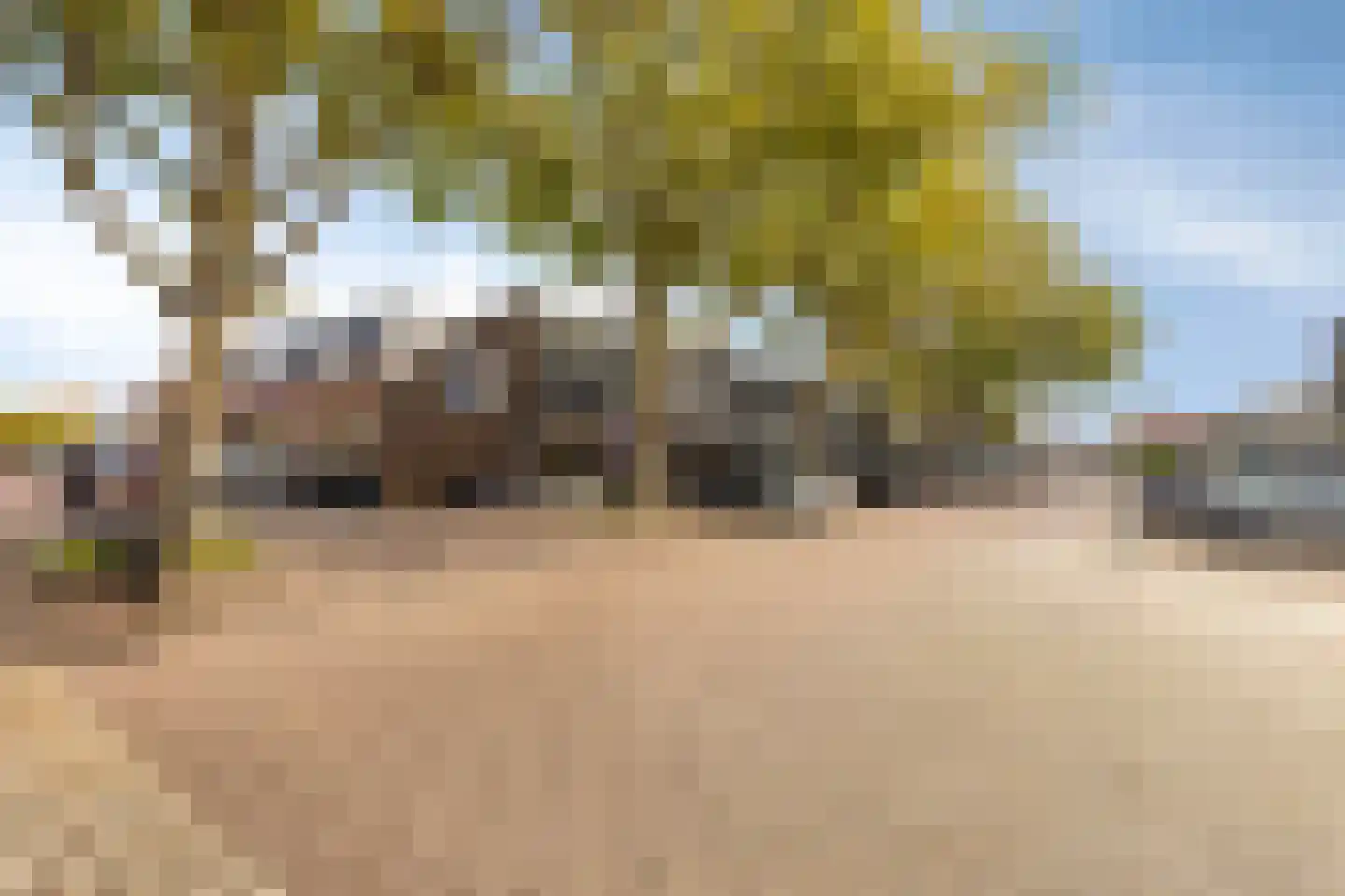 Wilhelminastraat 3 Rhoon thumbnail 44
