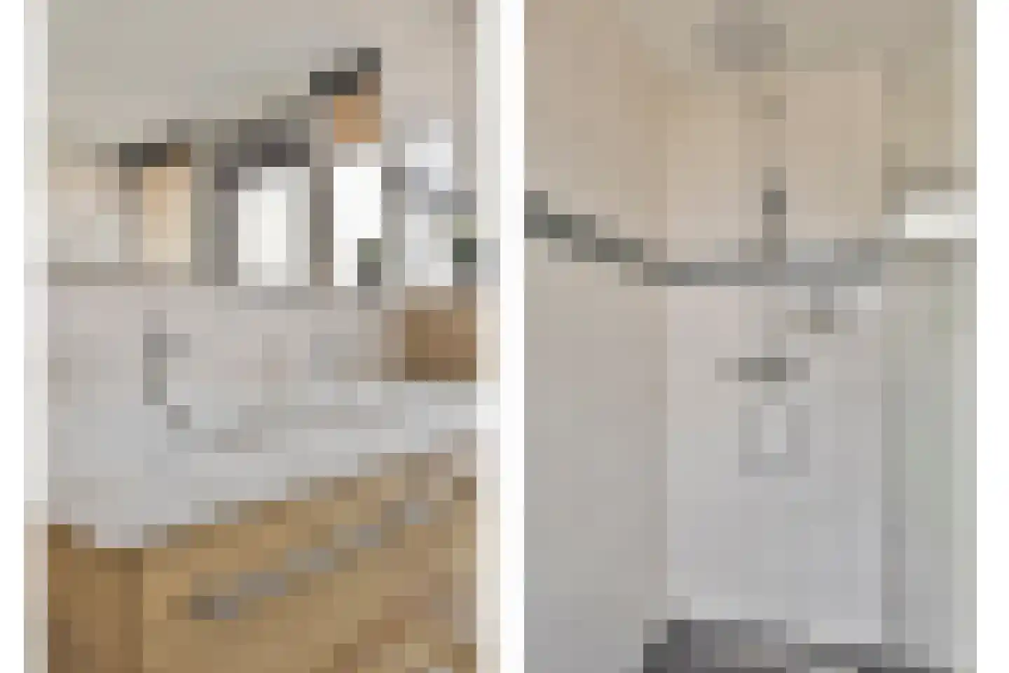 Wilhelminastraat 3 Rhoon thumbnail 6
