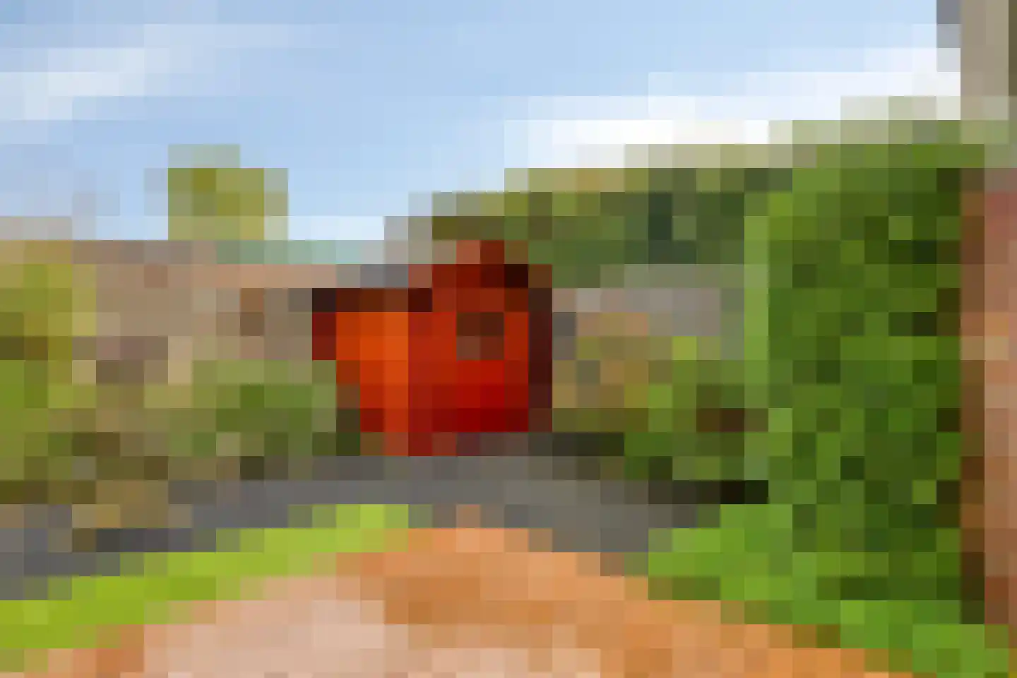 Wilhelminastraat 3 Rhoon thumbnail 7