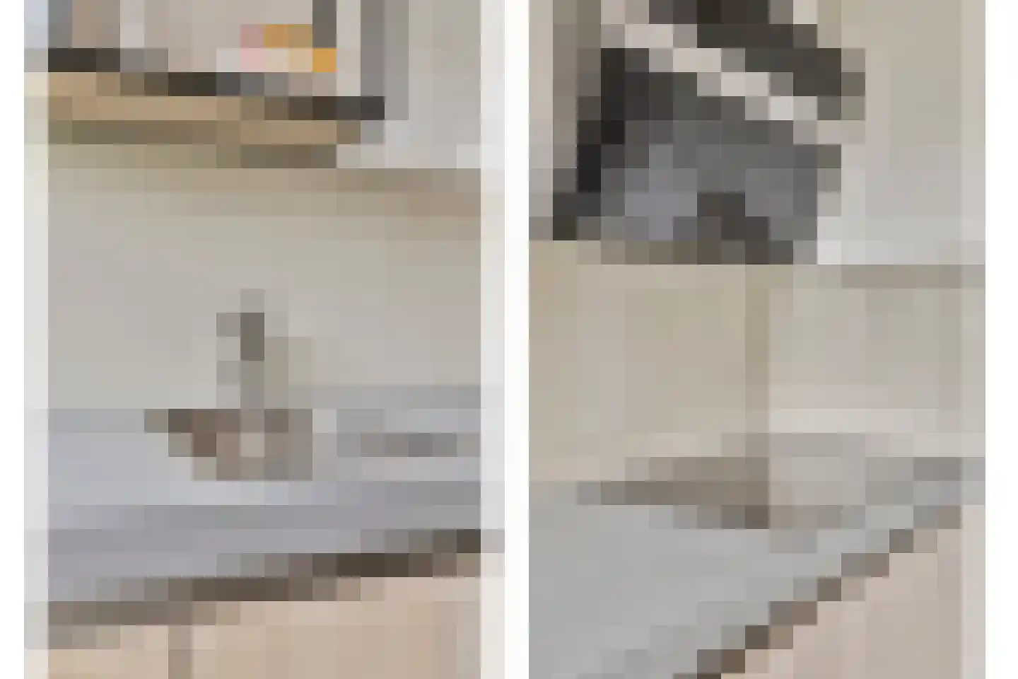 Wilhelminastraat 3 Rhoon thumbnail 9