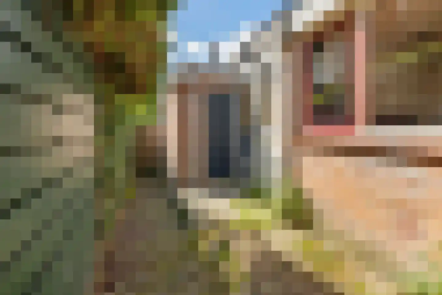 Wilhelminastraat 3 Weesp thumbnail 13