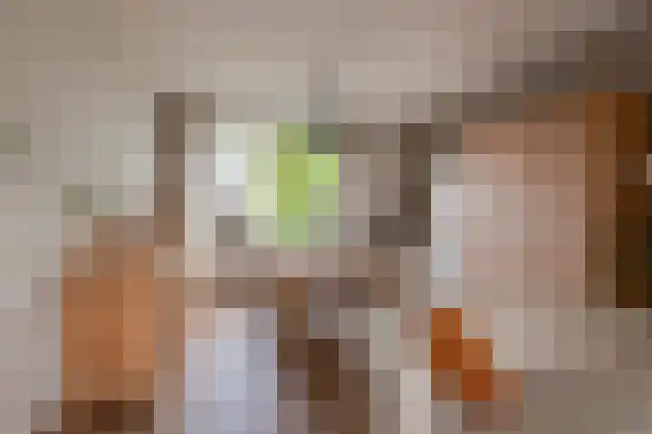 Wilhelminastraat 30 Andel thumbnail 10