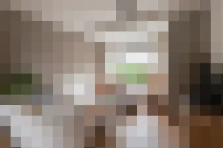 Wilhelminastraat 30 Andel thumbnail 11