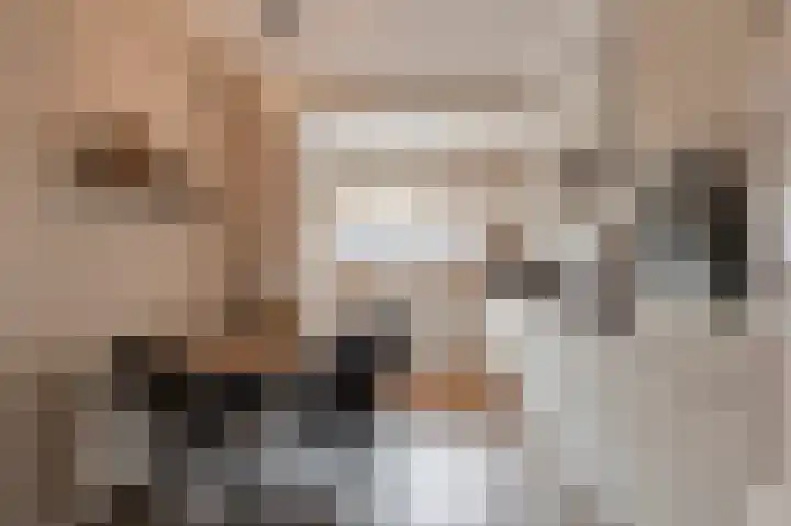Wilhelminastraat 30 Andel thumbnail 12