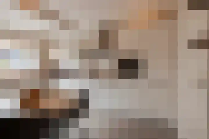 Wilhelminastraat 30 Andel thumbnail 13