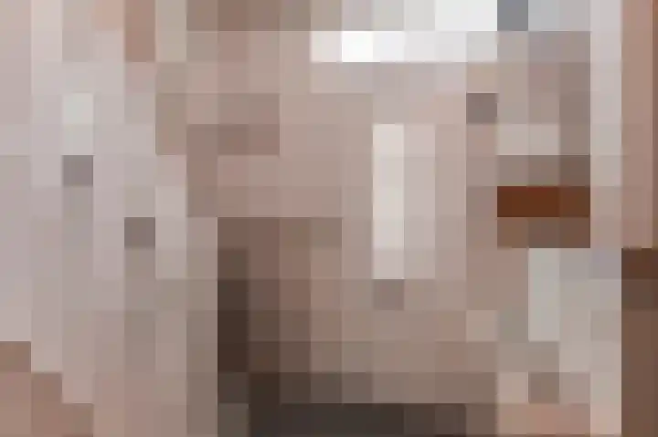 Wilhelminastraat 30 Andel thumbnail 16