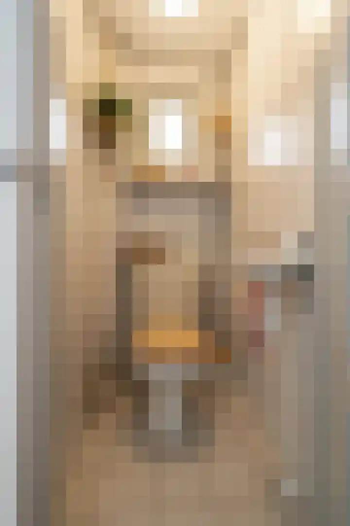 Wilhelminastraat 30 Andel thumbnail 17