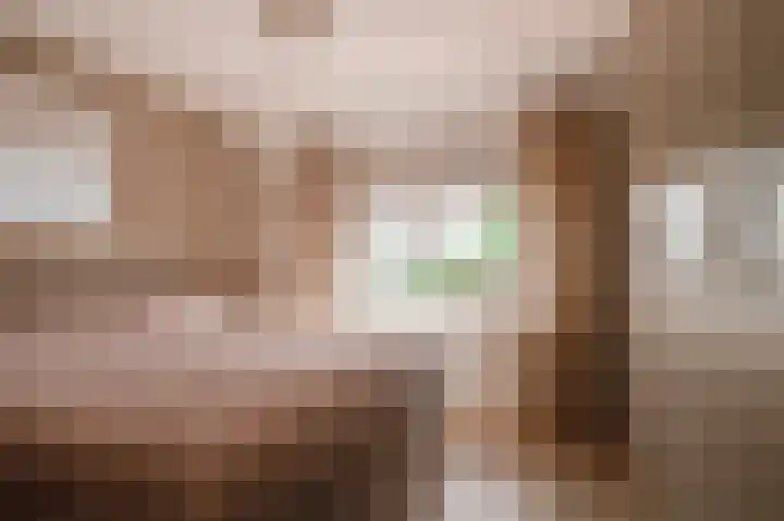 Wilhelminastraat 30 Andel thumbnail 19