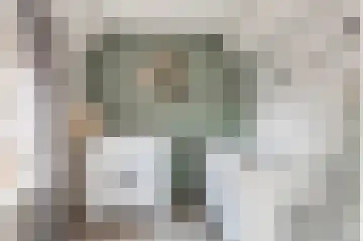 Wilhelminastraat 30 Andel thumbnail 22