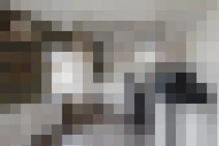 Wilhelminastraat 30 Andel thumbnail 23