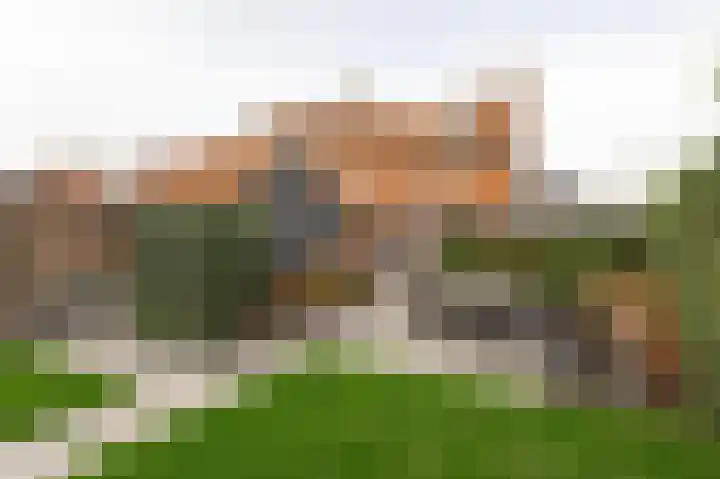 Wilhelminastraat 30 Andel thumbnail 32