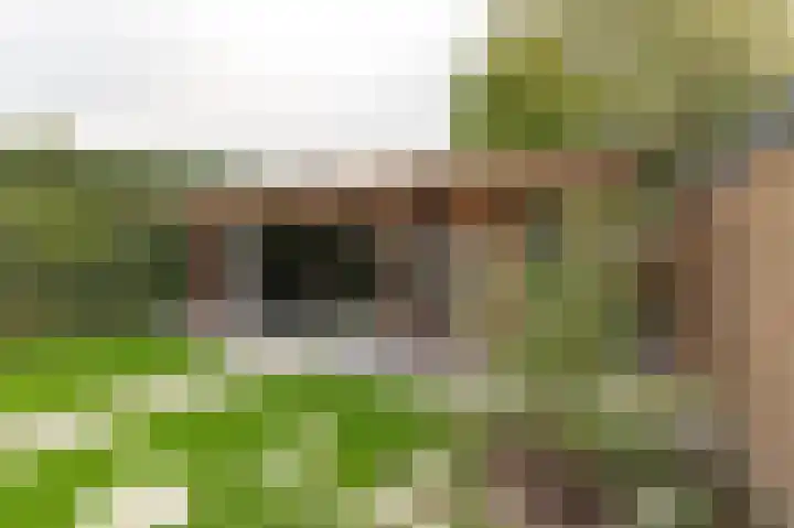 Wilhelminastraat 30 Andel thumbnail 38