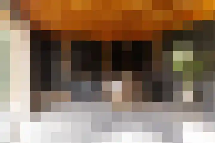 Wilhelminastraat 30 Andel thumbnail 40