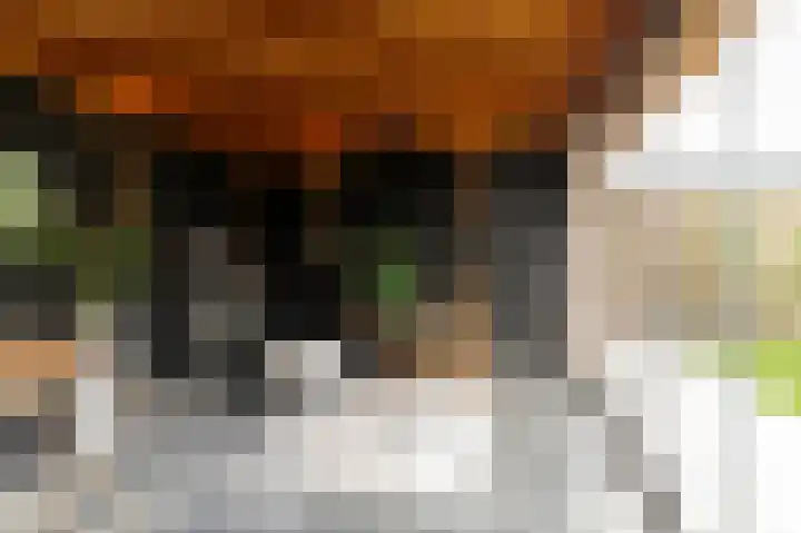 Wilhelminastraat 30 Andel thumbnail 41