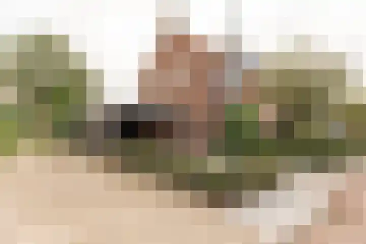 Wilhelminastraat 30 Andel thumbnail 45
