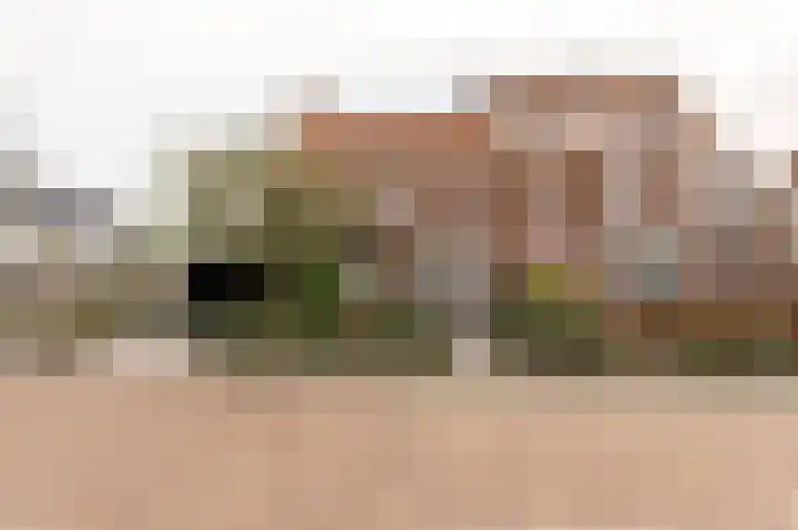 Wilhelminastraat 30 Andel thumbnail 46