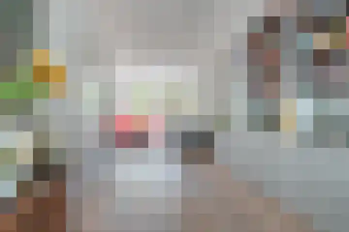 Wilhelminastraat 30 H Amsterdam thumbnail 14