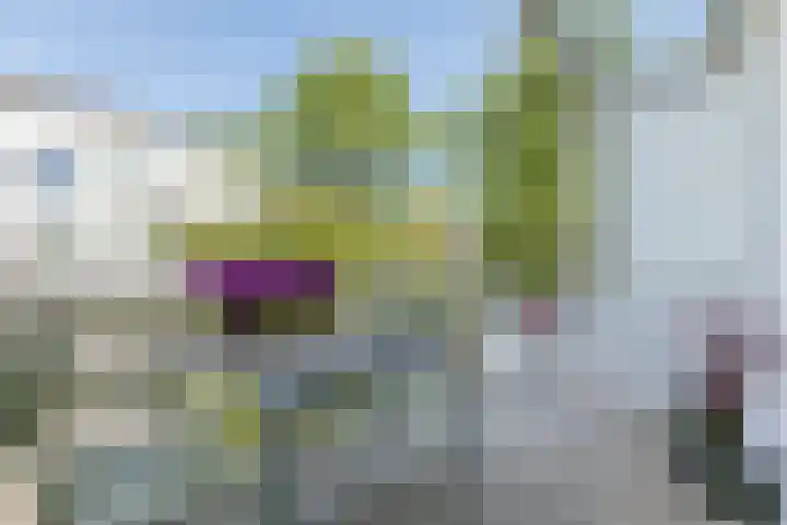 Wilhelminastraat 30 H Amsterdam thumbnail 18