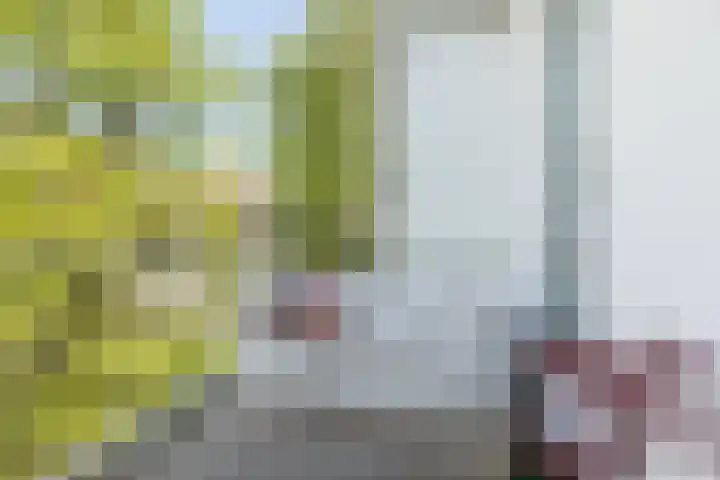 Wilhelminastraat 30 H Amsterdam thumbnail 19