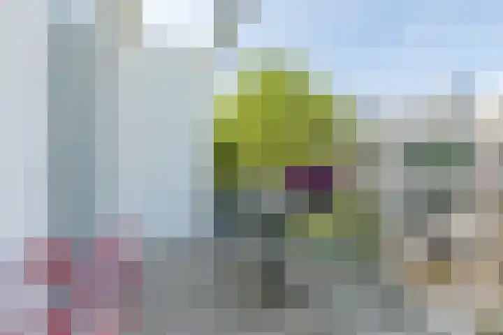 Wilhelminastraat 30 H Amsterdam thumbnail 20