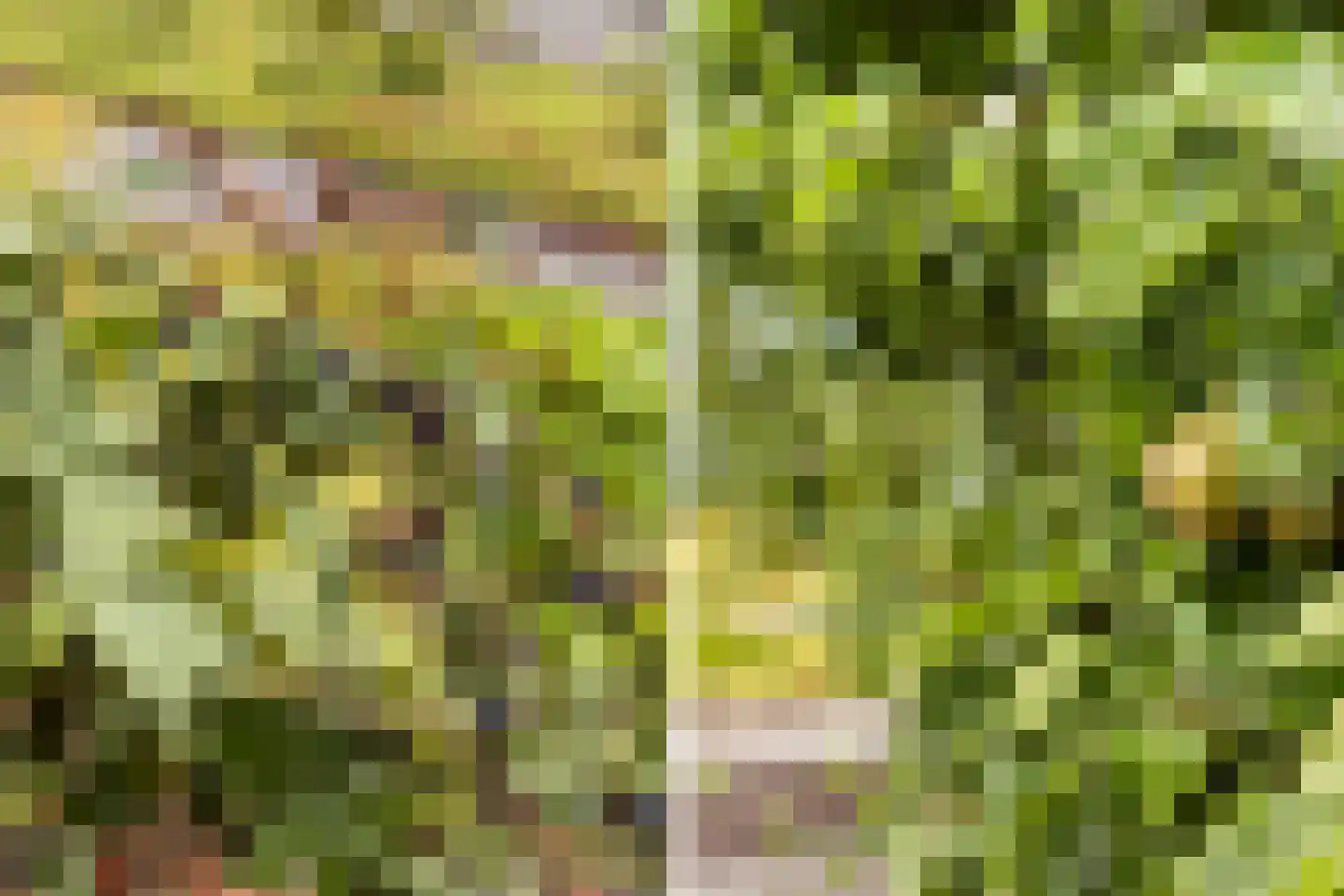 Wilhelminastraat 30 Heinenoord thumbnail 31