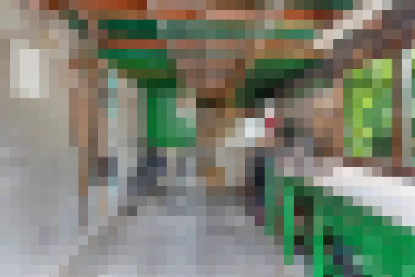 Wilhelminastraat 30 Heinenoord thumbnail 36