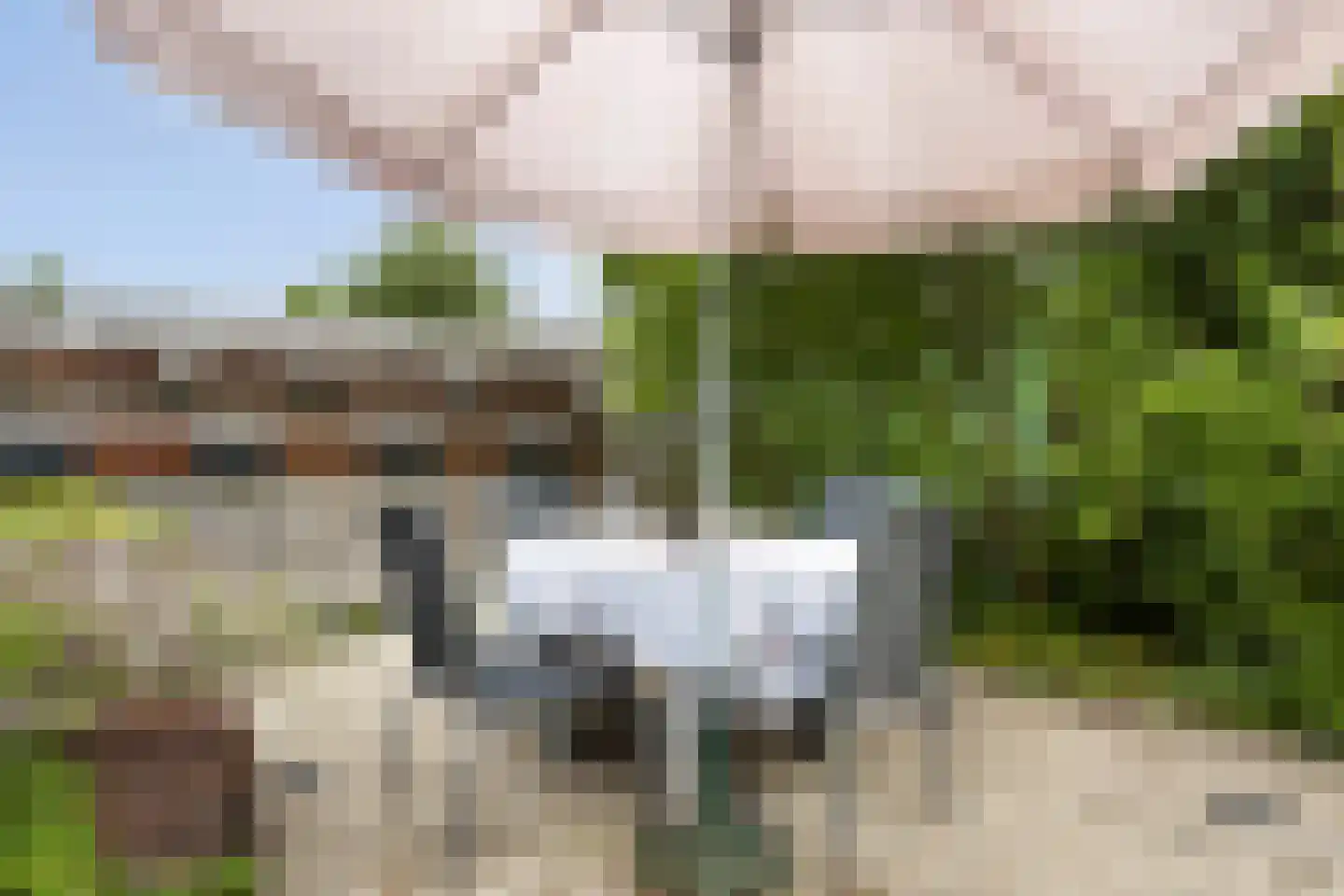 Wilhelminastraat 30 Heinenoord thumbnail 37