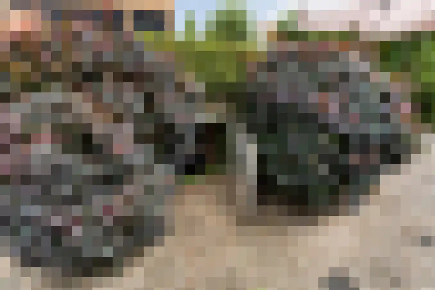 Wilhelminastraat 30 Heinenoord thumbnail 39