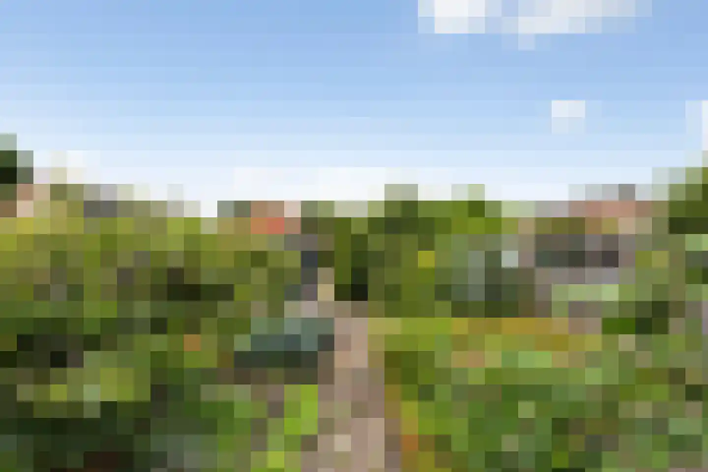 Wilhelminastraat 30 Heinenoord thumbnail 43