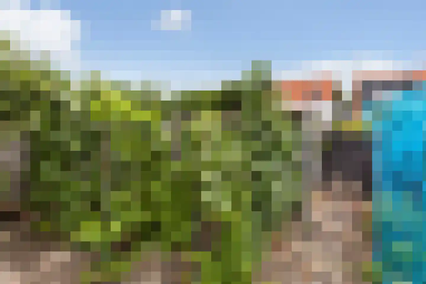 Wilhelminastraat 30 Heinenoord thumbnail 44
