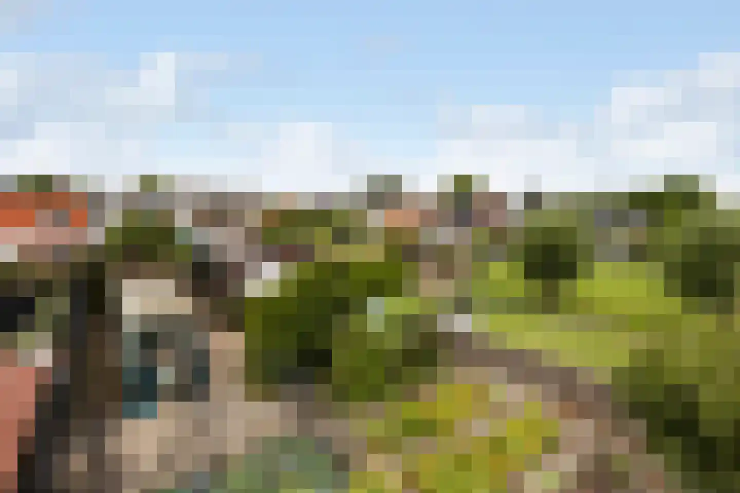 Wilhelminastraat 30 Heinenoord thumbnail 47