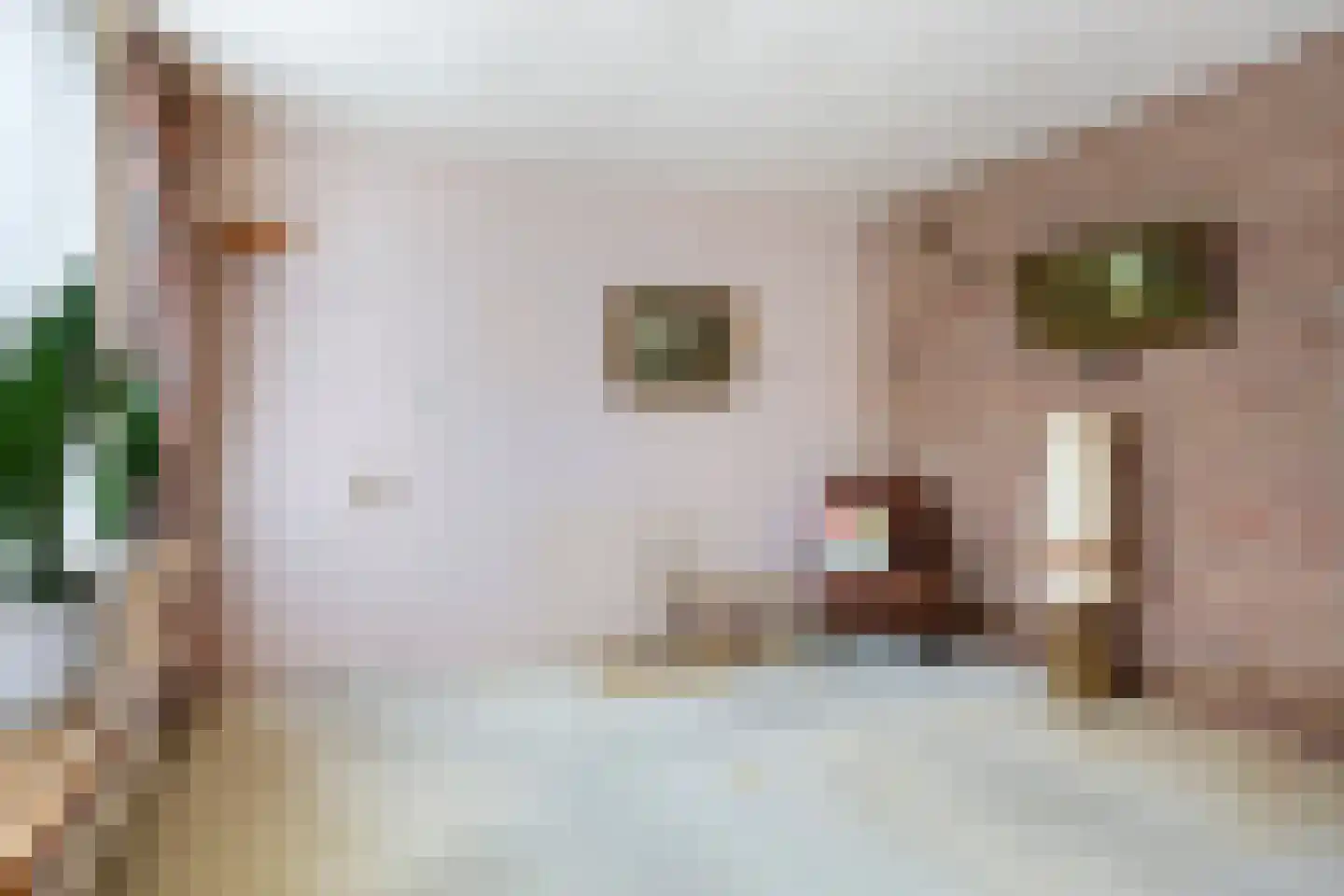 Wilhelminastraat 30 Heinenoord thumbnail 5